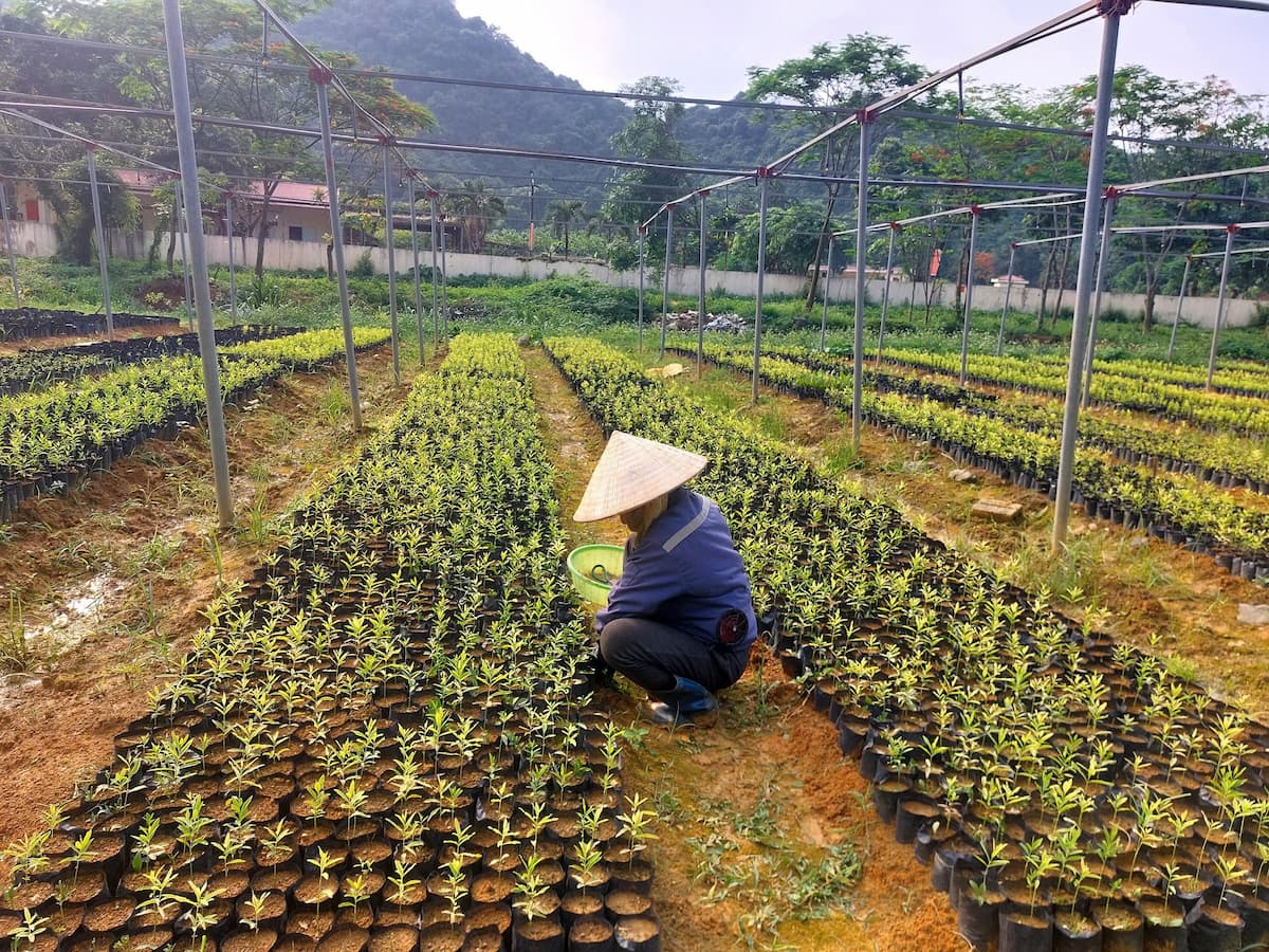 Doanh nghiệp Samata